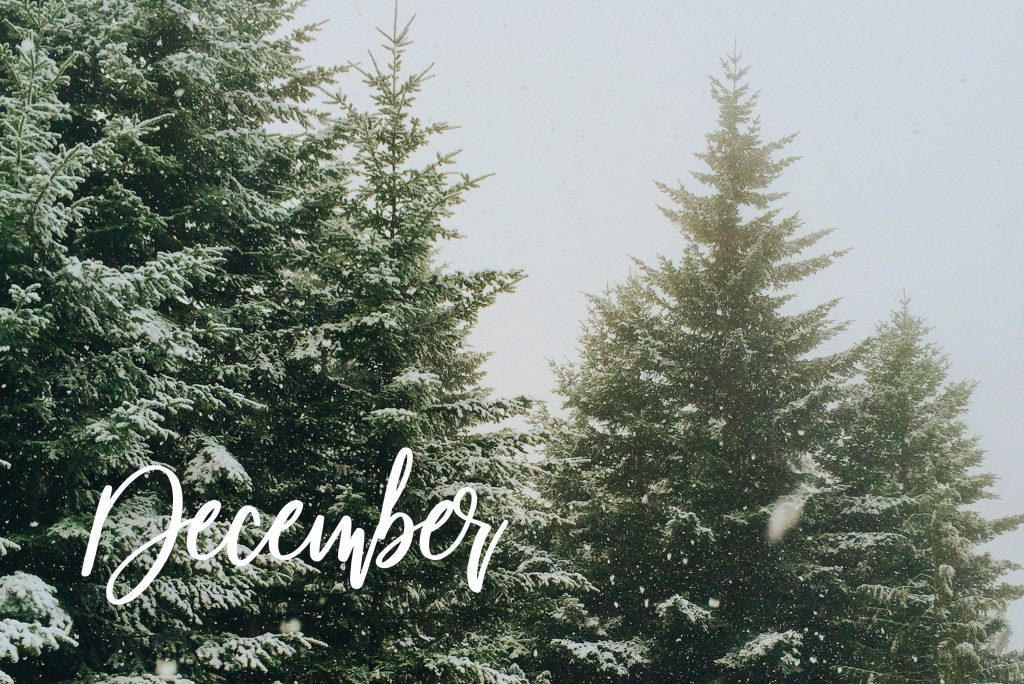 December, christmas, desktop, download, free, screensaver, holiday