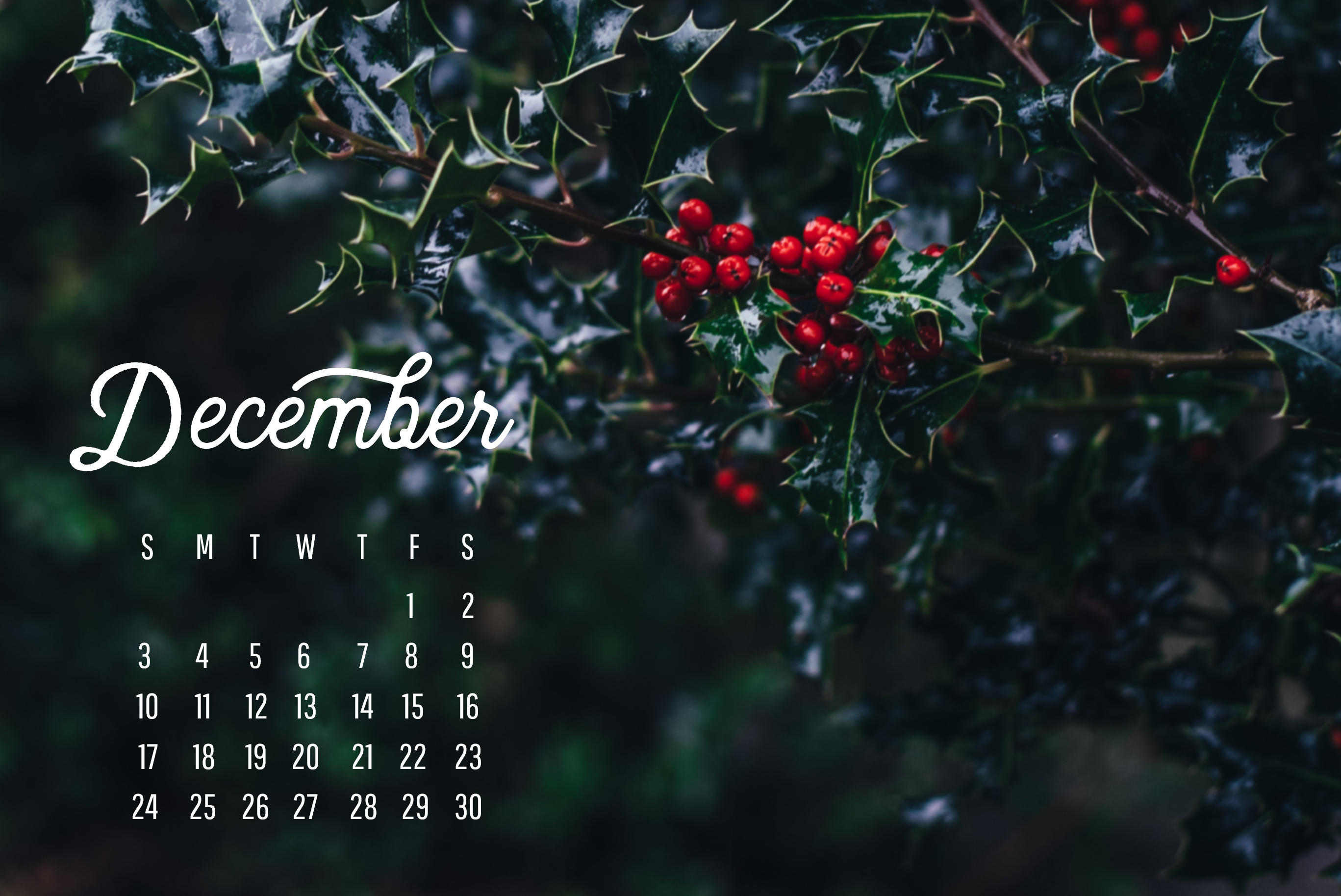 December Wallpaper Calendar - Salli Giuditta