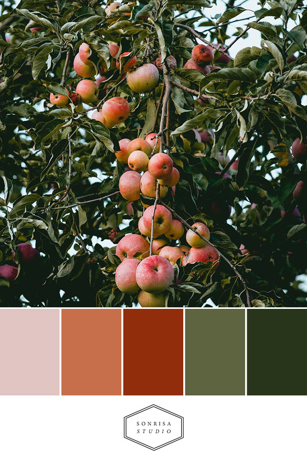 fall, color palette, autumn, colors, branding colors, warm color palette, pumpkins, coffee color palette