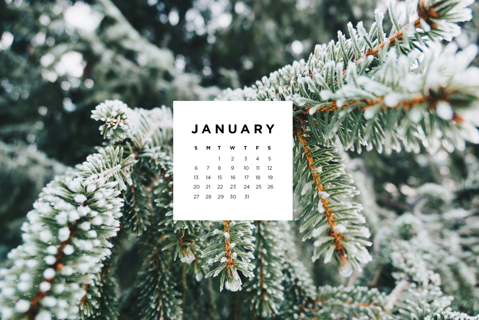 January 2024 Calendar Minimalist Wallpaper Alfy Philippe