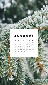 January Desktop and Mobile Wallpaper - sonrisastudio.com