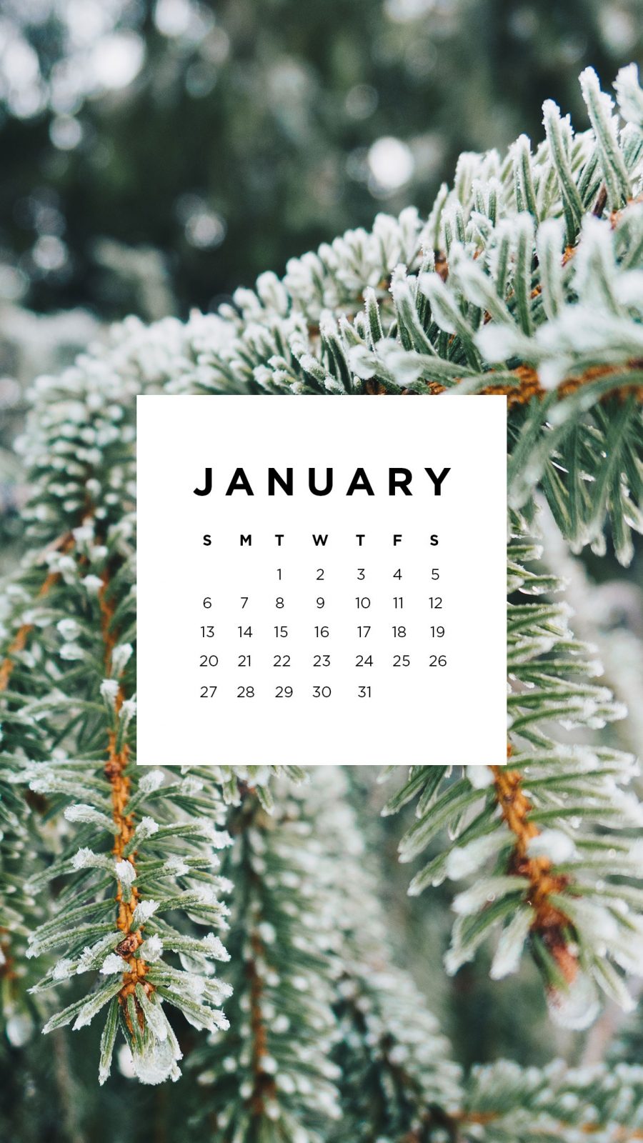 January Desktop and Mobile Wallpaper
