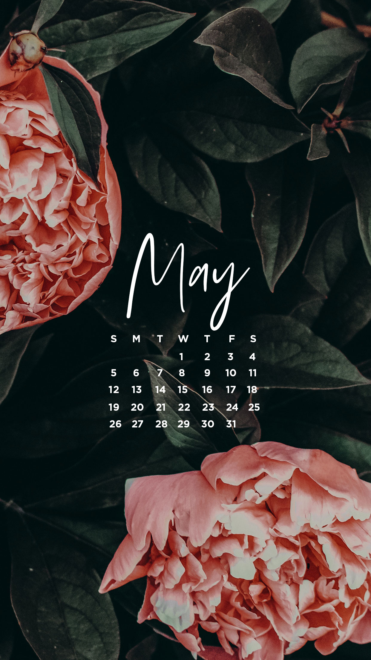 May Calendar Desktop and Mobile Image - sonrisastudio.com