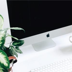 Optimizing Your Content for Every Platform - sonrisastudio.com