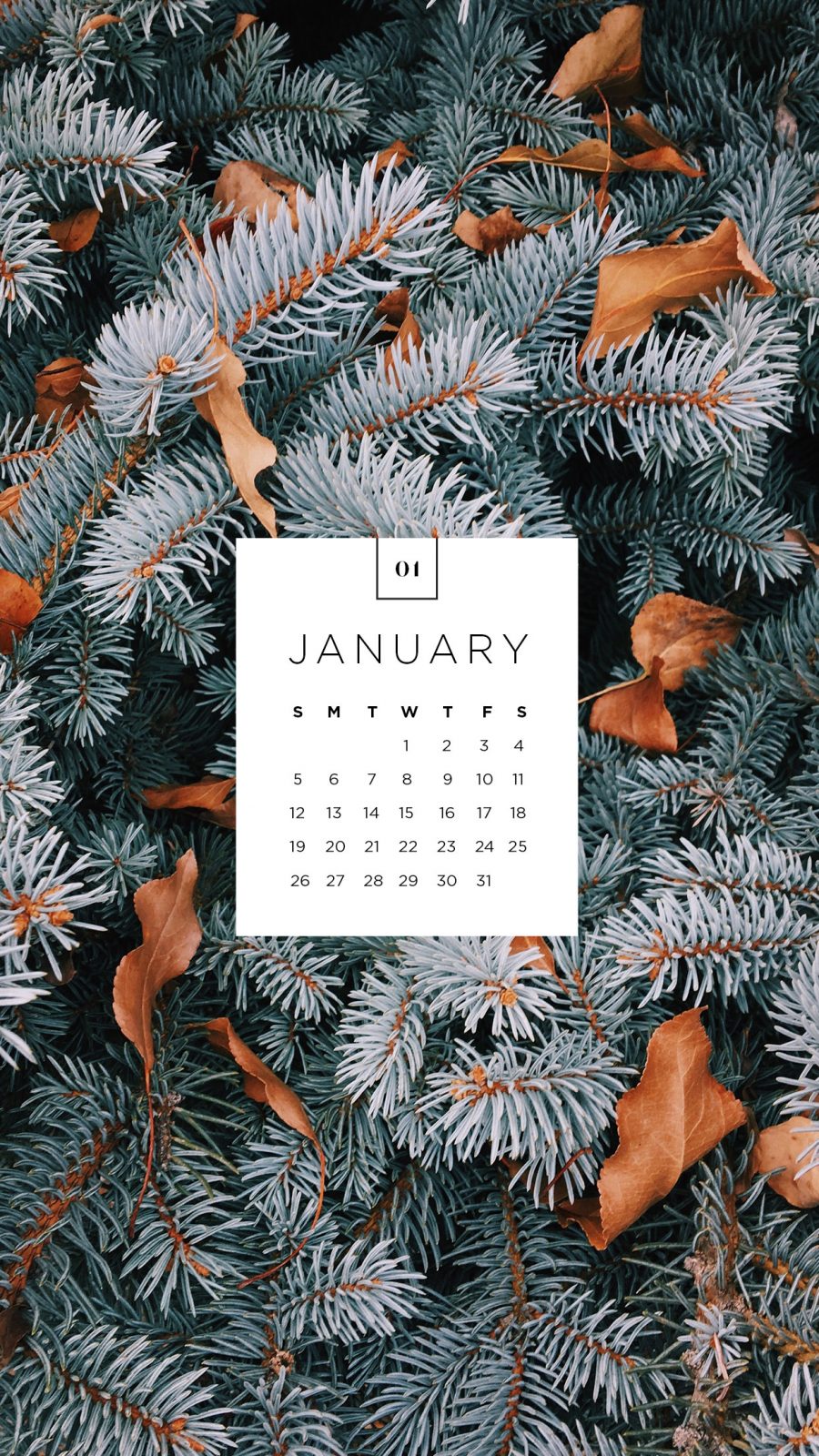 January Desktop and Mobile Wallpaper - sonrisastudio.com