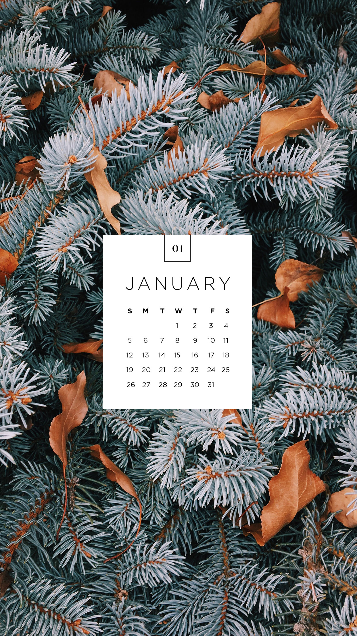 20 Best desktop wallpapers january You Can Save It free - Aesthetic Arena