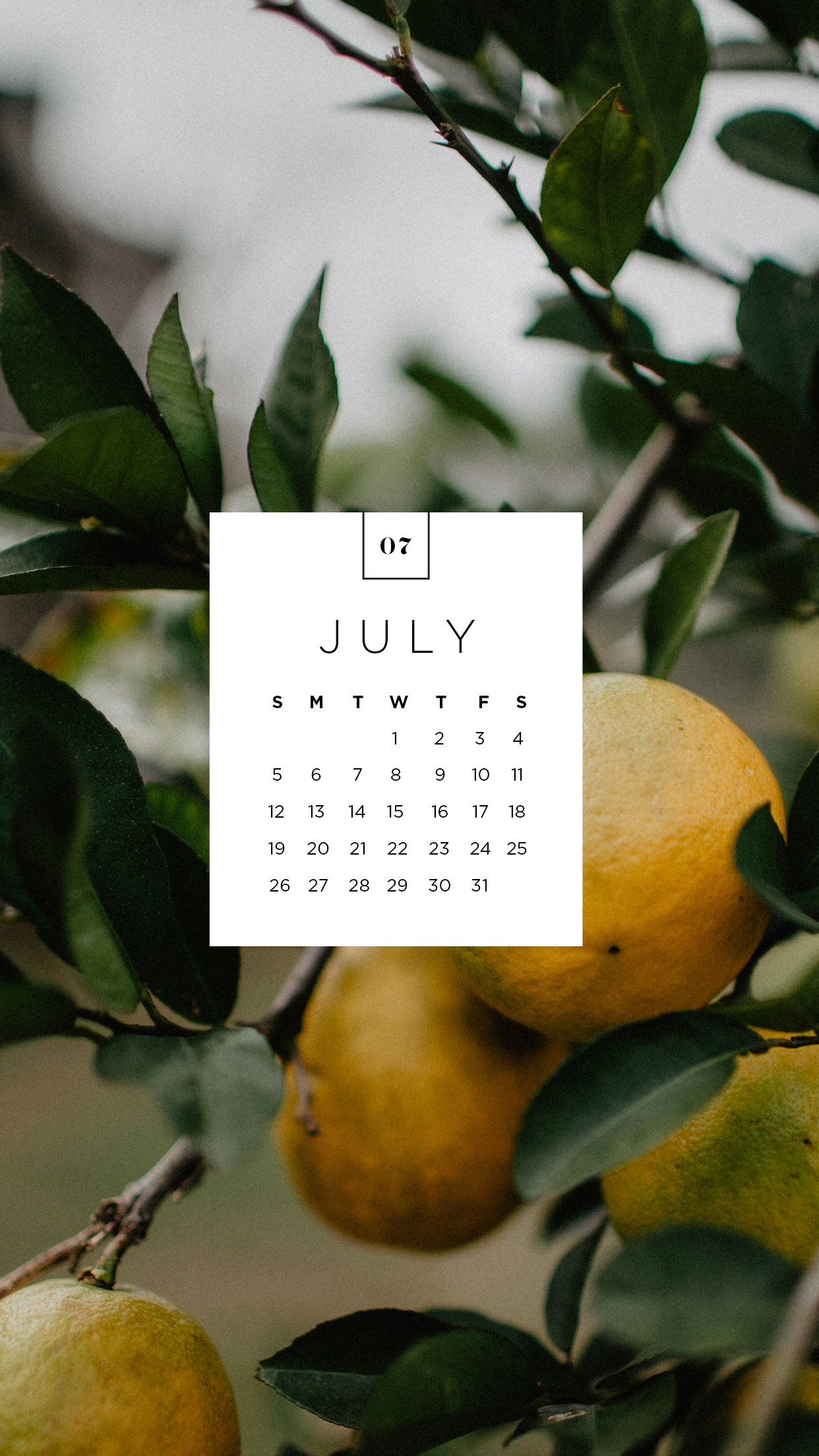 July Desktop and Mobile Wallpaper