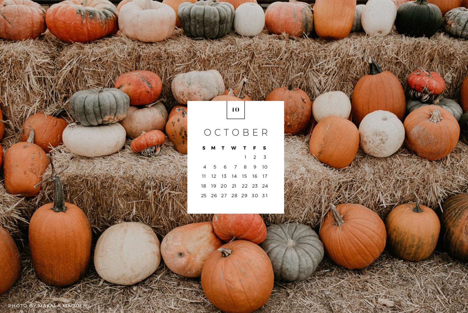 October Desktop & Mobile Wallpaper - sonrisastudio.com