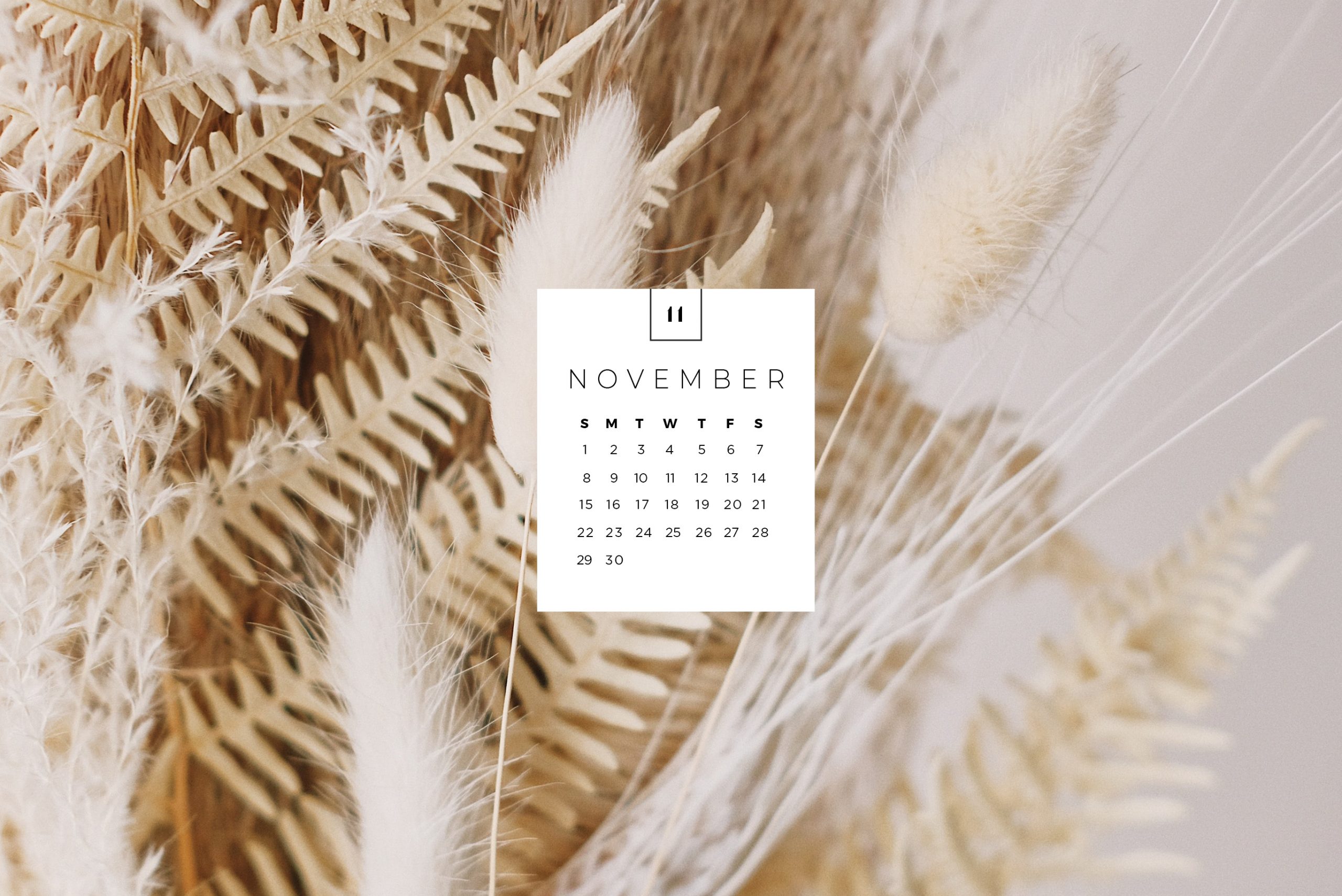 November calendar wallpaper desktop download