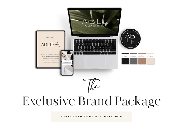 Exclusive Branding Package from Sonrisa Studio