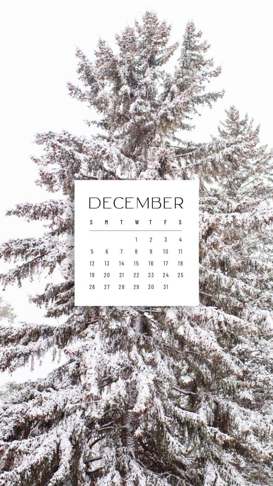 December Calendar Wallpaper - sonrisastudio.com