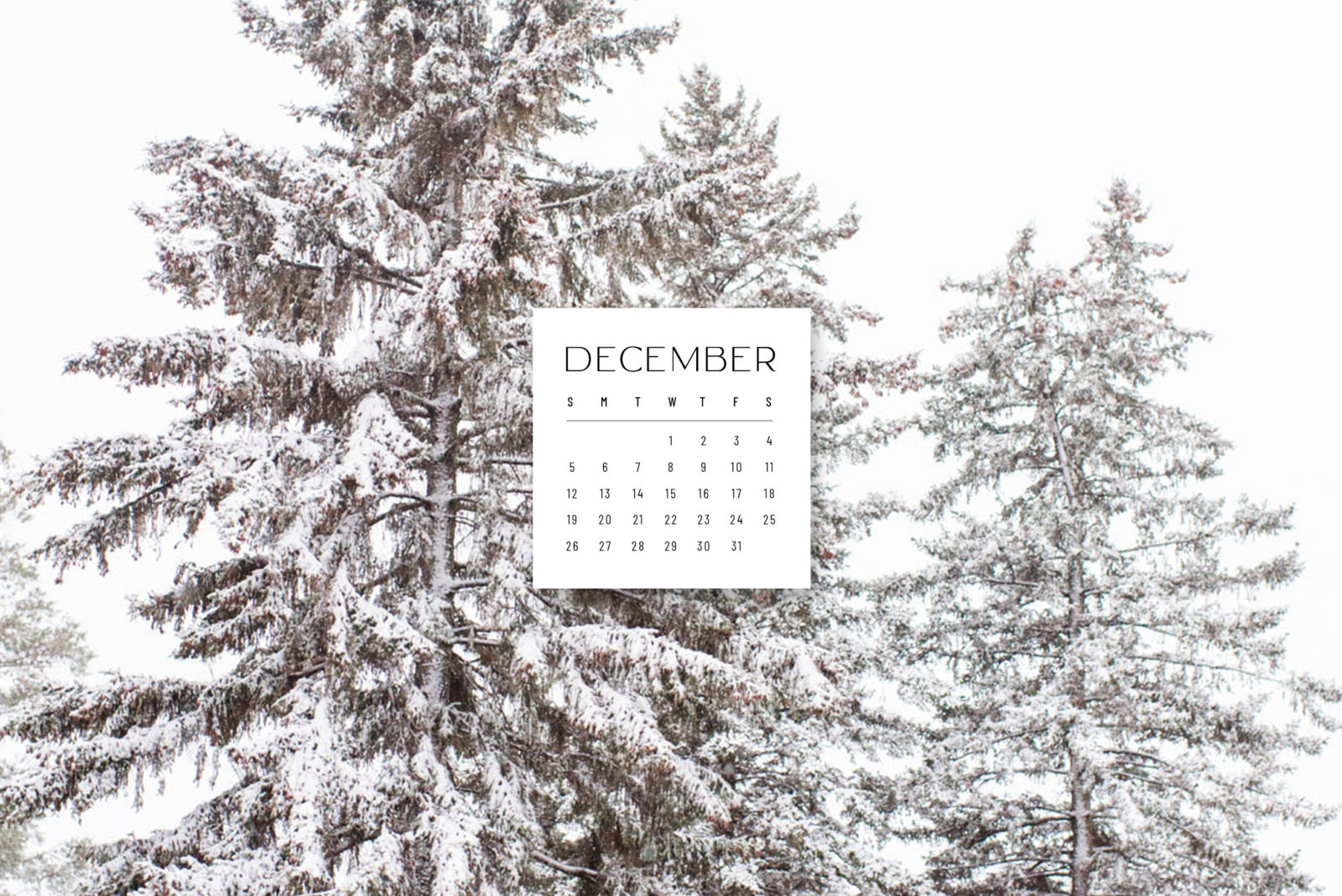 December Calendar Wallpaper - sonrisastudio.com