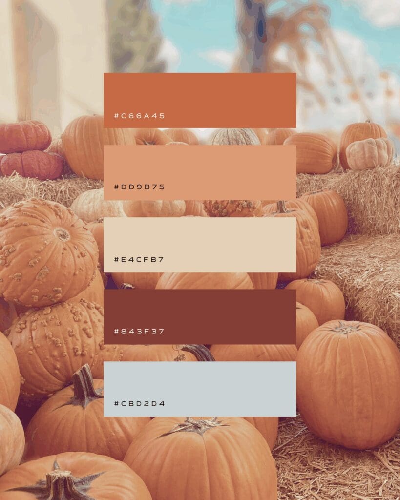 colors, color palettes, design, fall, autumn, brand, logos, hex codes