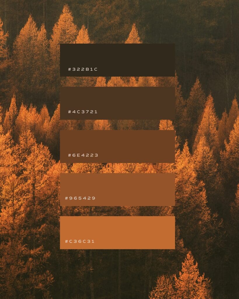 colors, color palettes, design, fall, autumn, brand, logos, hex codes