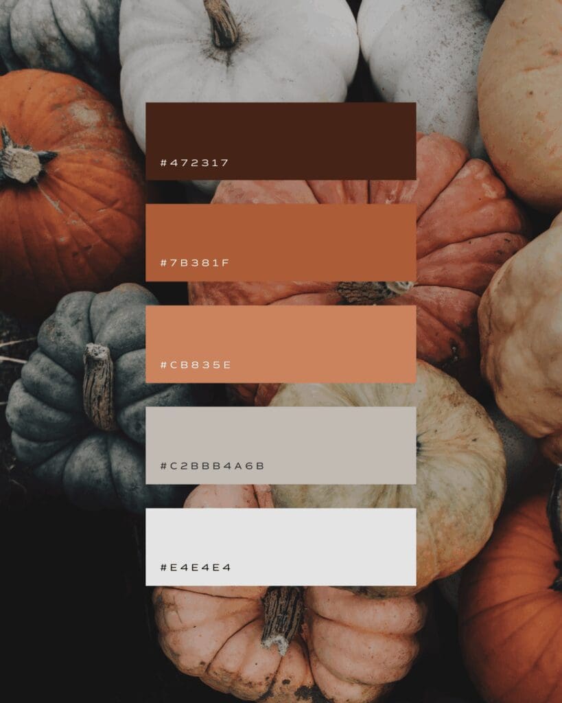 colors, color palettes, design, fall, autumn, brand, logos, hex codes