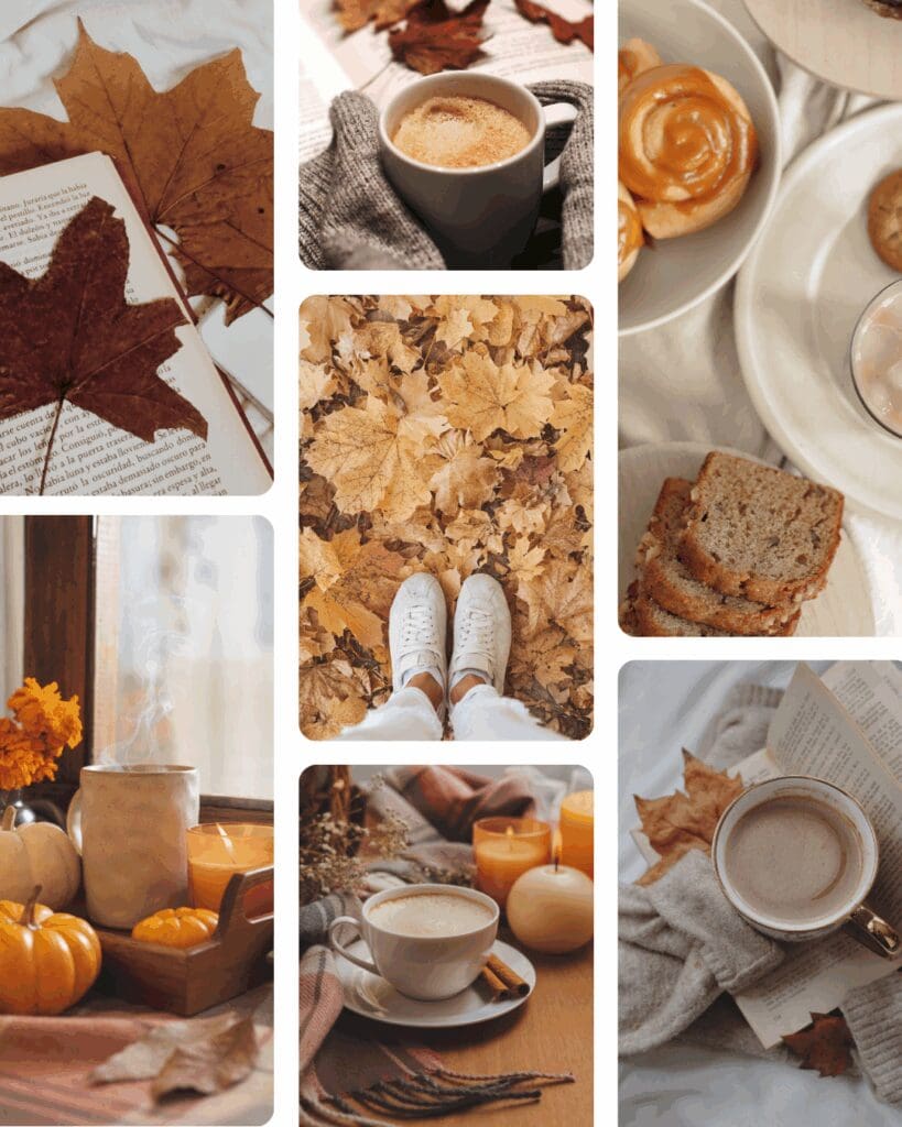 autumn, fall, canva, design assets, leaves, stock photos, imagery, video