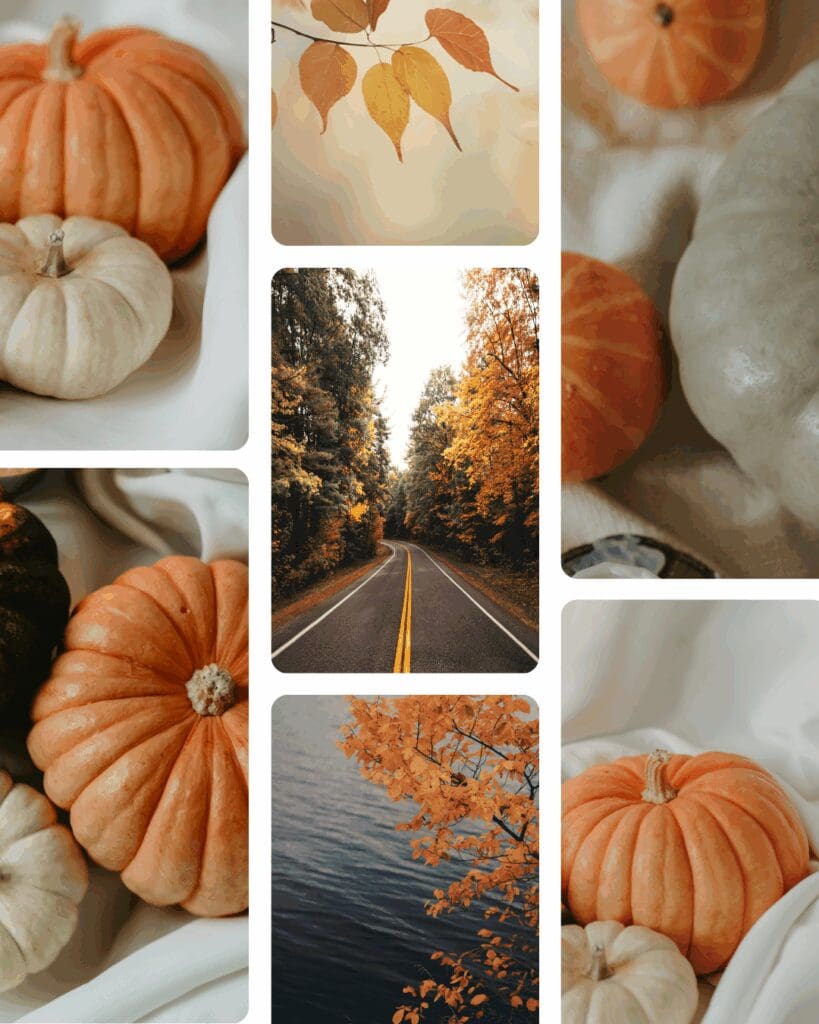 autumn stock photos pumpkins images brand photo fall